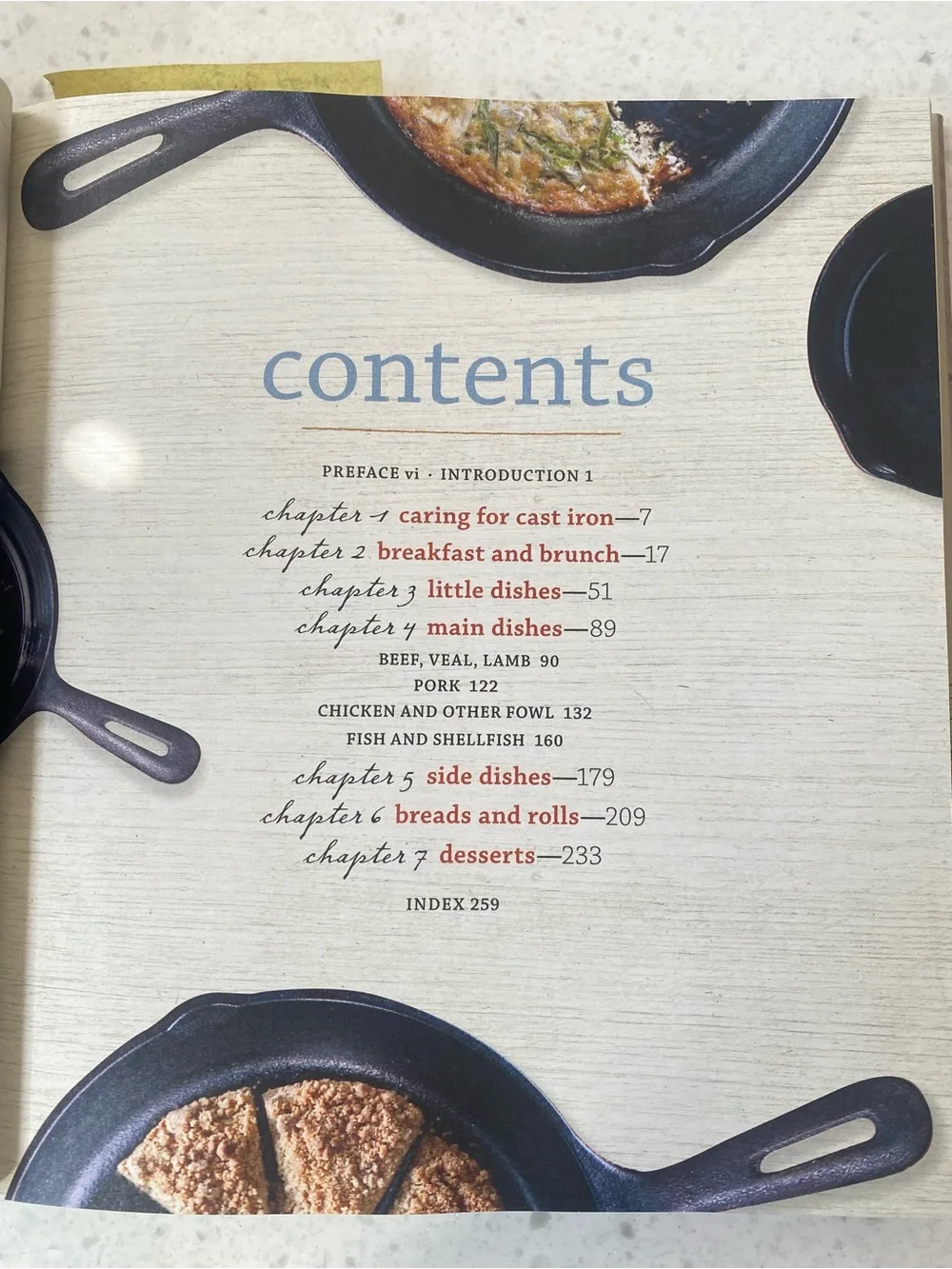The New Cast Iron Skillet Cookbook - Black